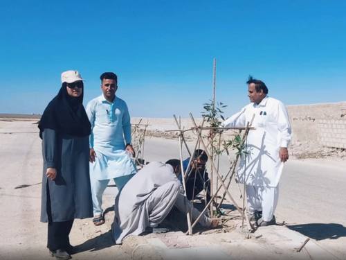 کاشت نهال در بلوار 22 بهمن شهر بریس - آذر ماه 1401