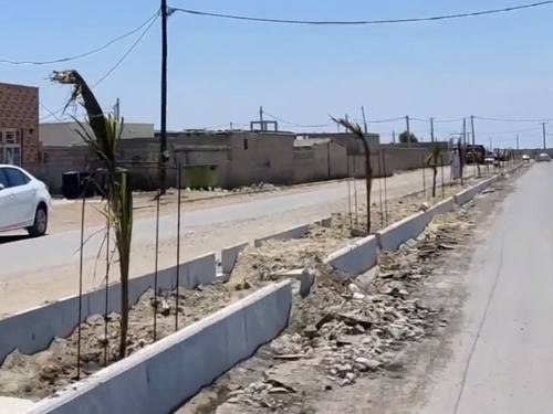 کاشت نهال در بلوار ورودی شهر بریس - اسفند ماه 1401